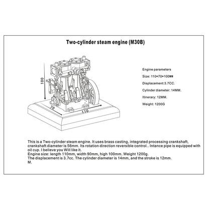 3.7CC Retro Vertical 2-cylinder Reciprocating Double-acting Model Steam Engine with 200ml Steam Boiler